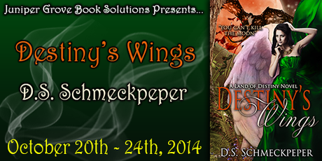 Destiny’s Wings by D.S. Schmeckpeper: Spotlight with Excerpt