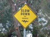 Melbourne Botanic Garden