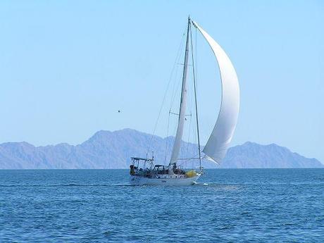 sailing sailboat sails