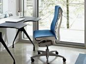 Ergonomic Desk Chairs