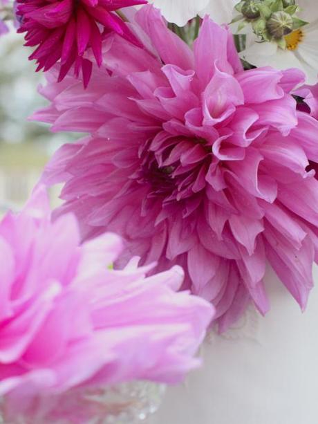 Dahlia-Lilac-Time