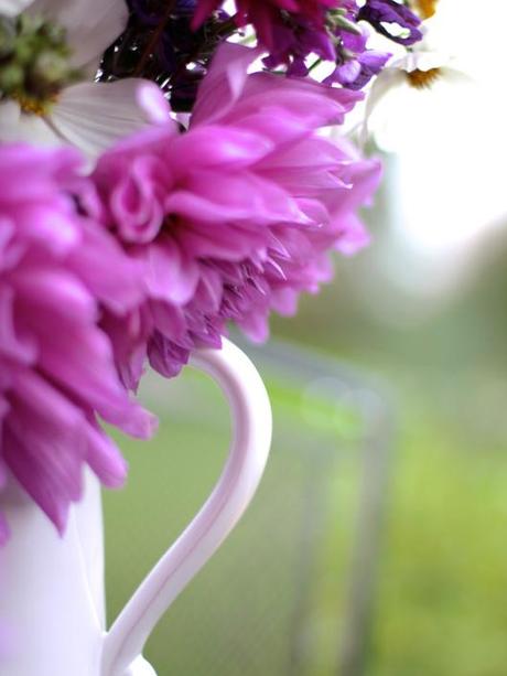 Dahlia-Lilac-Time