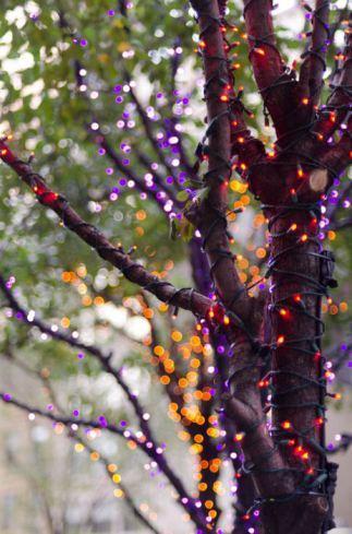 Thrifty fairy lights for Christmas AND Halloween!