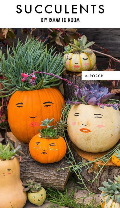 DIY succulent pumpkin faces