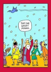 manna-from-heaven