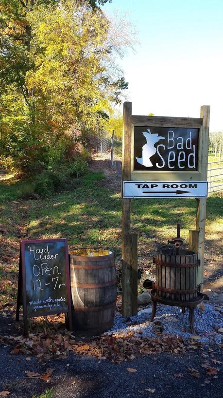 #TasteCamp Explores #HudsonValley #Cider