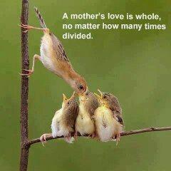 IMG_173789081805919.jpeg image