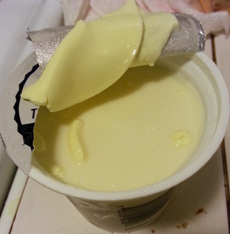 What We're Loving - Maple Hill Creamery Creamline Yogurt