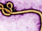 "Abundance Assurance"