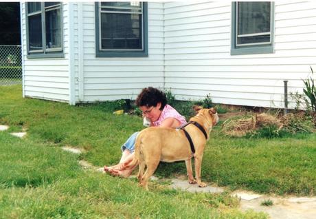 What happened when a self-declared dog-despiser accidentally adopted a Pit Bull