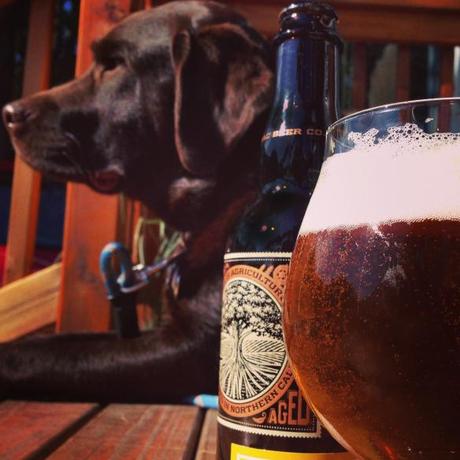 A Month Worth Remembering: October 2014 Beertography