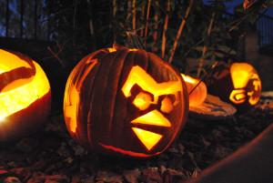 Pumpkin_AngryBird