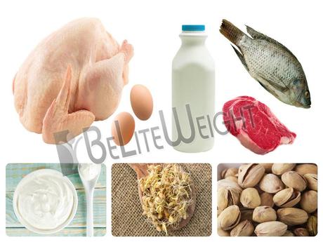 Protein Rich Foods|BeLite Weight