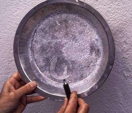 Project: THE SALTY SEA, Making Salt Crystals