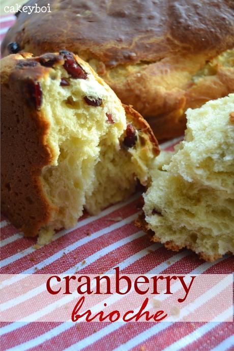 Cranberry Brioche for Random (internet) Recipes