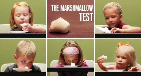 Waiting for the second marshmallow