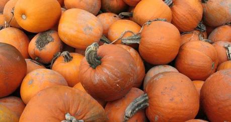 pumpkinpile