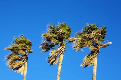 21 year Anniversary of my home being destroyed in 1993 Laguna Beach Firestorm,