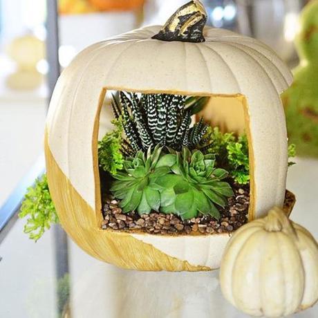 Top 10 Best Designs for Pumpkin Planters
