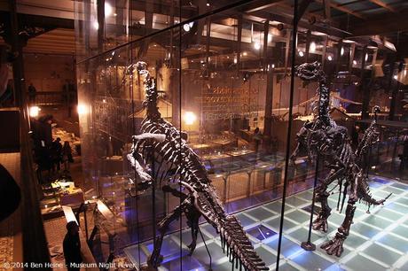 Dinosaurs 