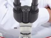 Book Review: Conquering Challenges: Working Mother's Story Elizabeth Blake