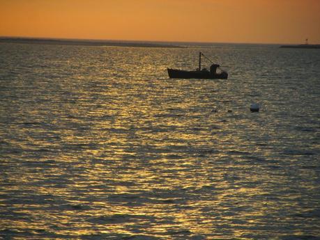 Author Interview: Patricia Driscoll: Shedding Light On Murder: A New Light on Murder Author Interview: Patricia Driscoll: Shedding Light On Murder: A New Light on Murder