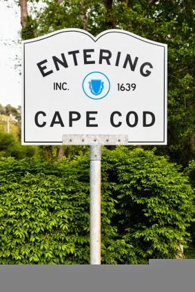 Author Interview: Patricia Driscoll: Shedding Light On Murder: A New Light on Murder