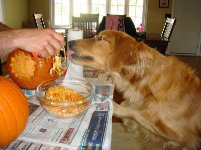 #TBT Halloween Fun