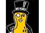 Peanut Behind Monocle, Pain