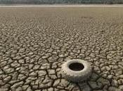 U.S. Mulls Adding Turtles Endangered Species List