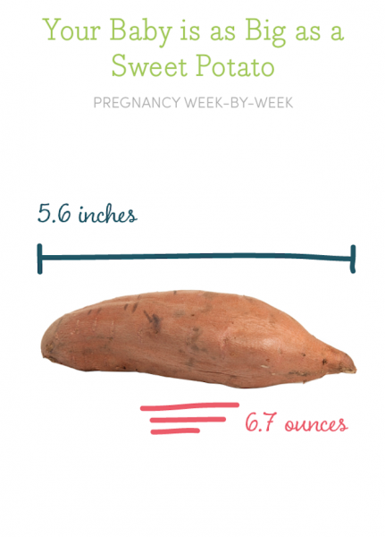 18 weeks pregnant 