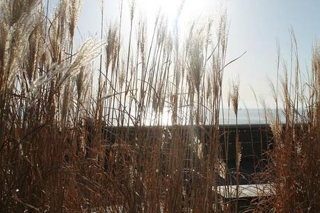 Reflections, Le Havre