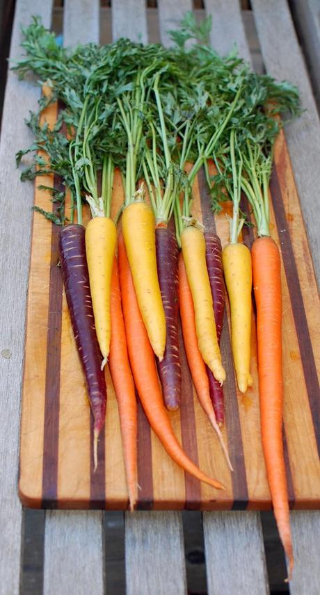 Roasted Carrots with Sorghum Syrup and Caraway