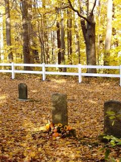 Blessed Samhain ~ The Story of Lucy