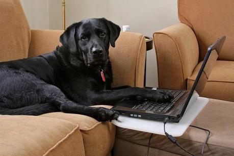 5 Ways to Work from Home More Effectively 5 Ways to Work from Home More Effectively