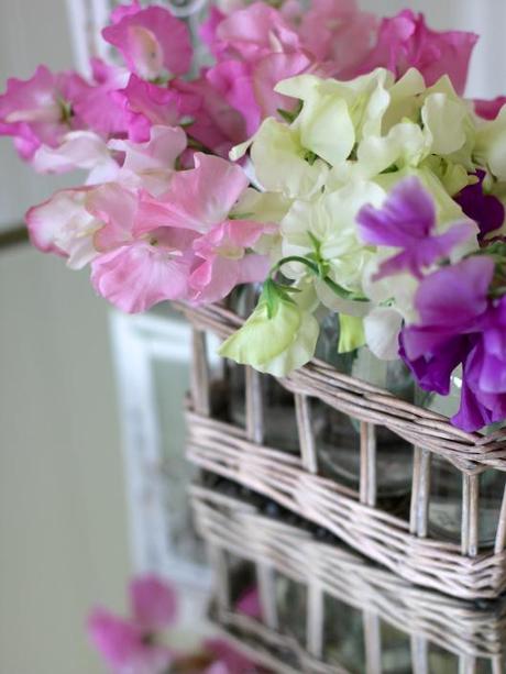 Sweetpeas