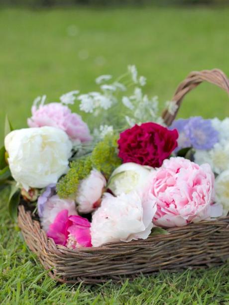 Cutting-Garden-Peonies