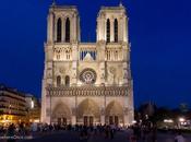 Night Show Notre Dame