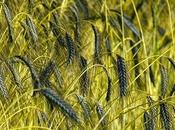 Discerning Beth Moore Joyce Meyer's Discussion "Enjoying Everyday Life" About "unity"