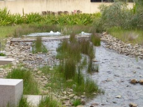 bubbling pools at the Melbourne Botanic Garden