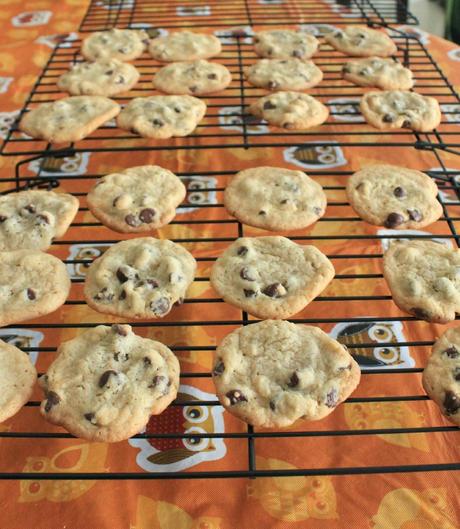 chocolate chip cookies right out of the oven! #ExtraGumMoments #shop