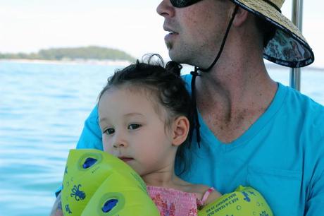 Shoal Bay Nelson Bay Holiday Boat Charter Dolphin Spotting