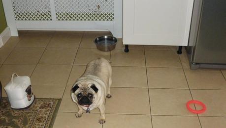 The Reality of Keeping Warm