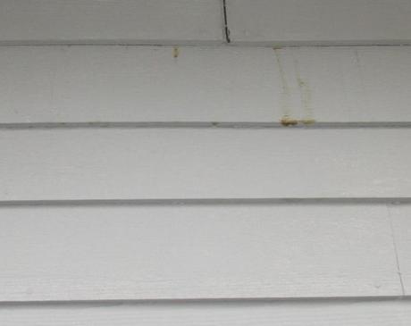 Stains on siding