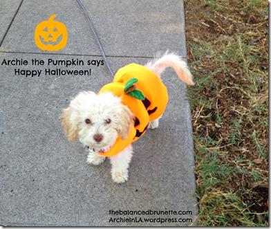 Halloween Los Angeles Dog Pet Costume Pumpkin