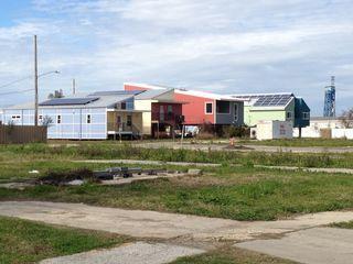 IMG_2924 IMG_2924