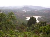 Dong Launches Biodiversity Conservation Action Plan