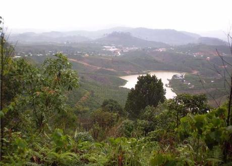 Lam Dong launches biodiversity conservation action plan