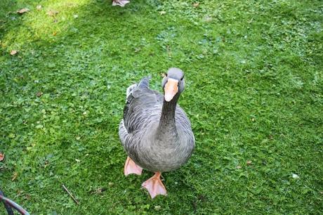 The London Nightly Photoblog 04:11:14