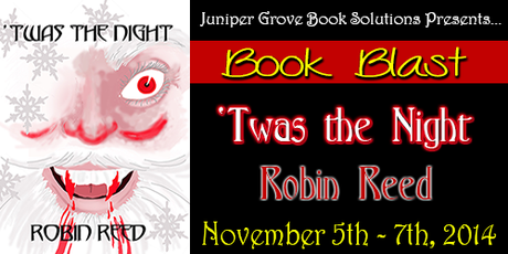 'Twas the Night by Robin Reed: Book Blast with Excerpt